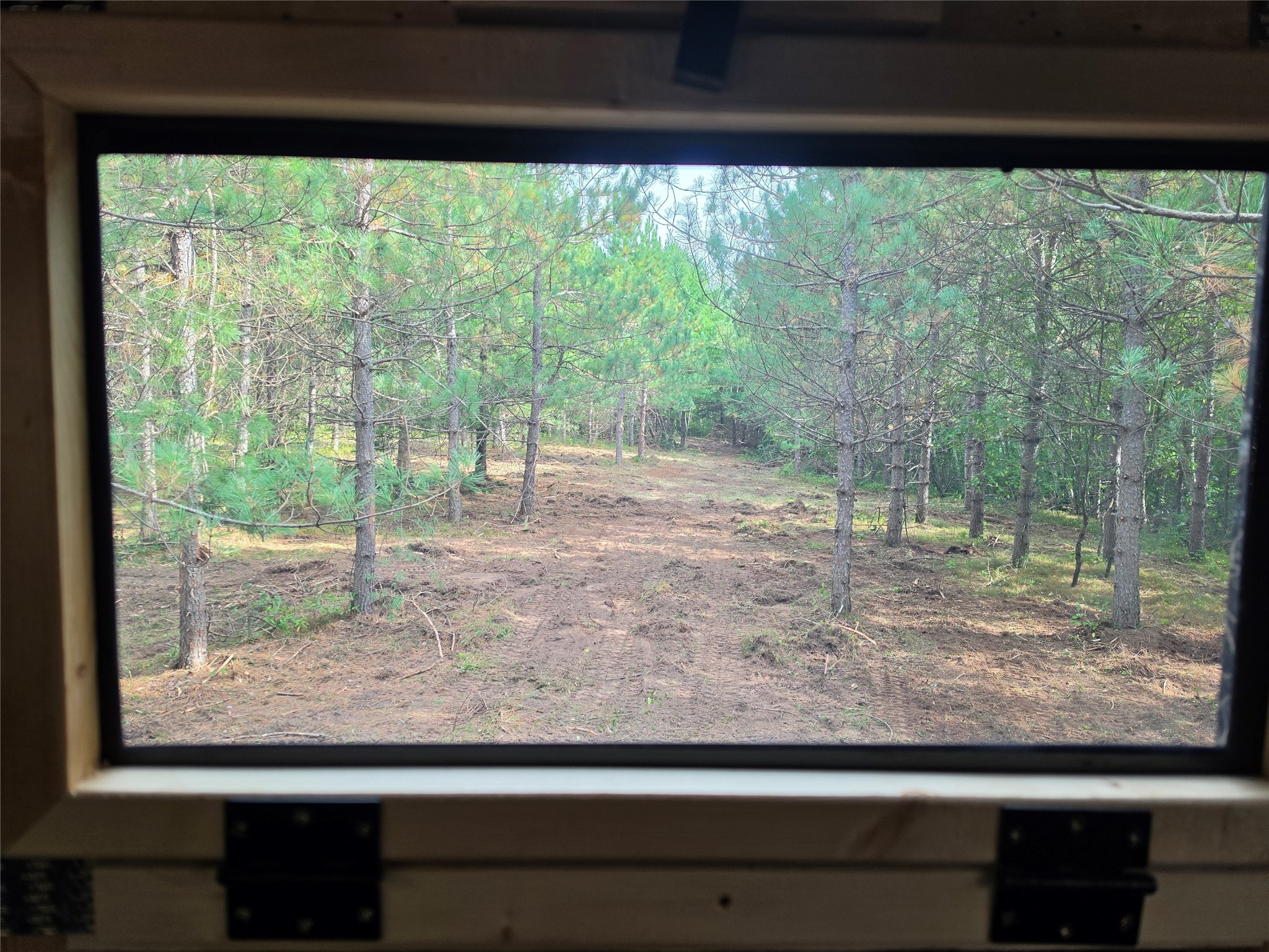 20 Acres Adams Road Property Photo 19