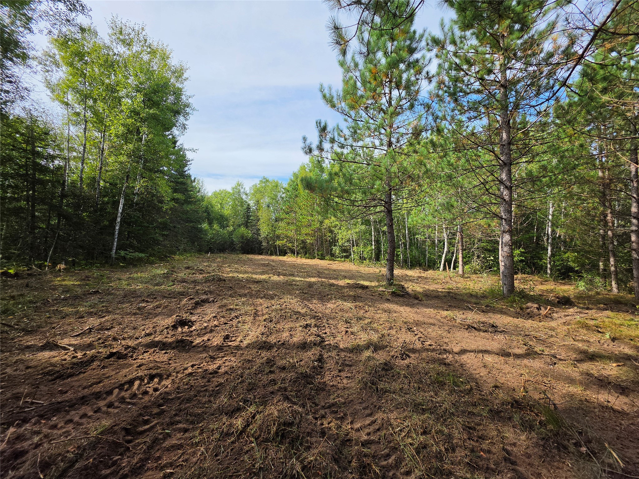 20 Acres Adams Road Property Photo 21