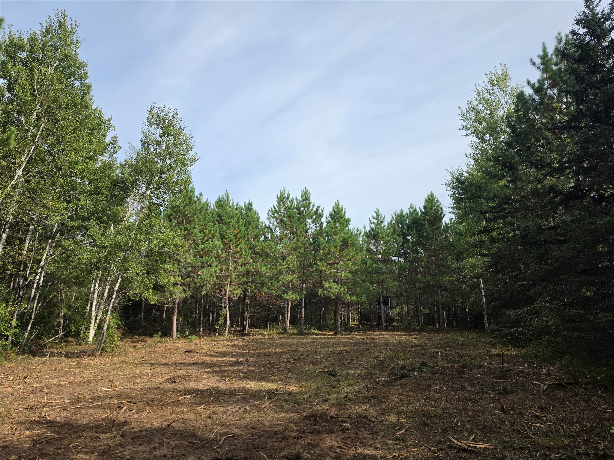 20 Acres Adams Road Property Photo 22