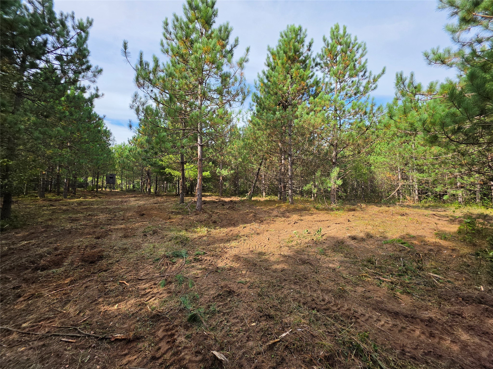 20 Acres Adams Road Property Photo 23