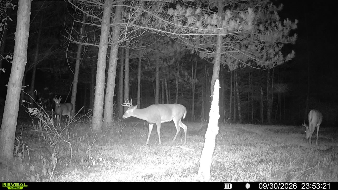 20 Acres Adams Road Property Photo 25
