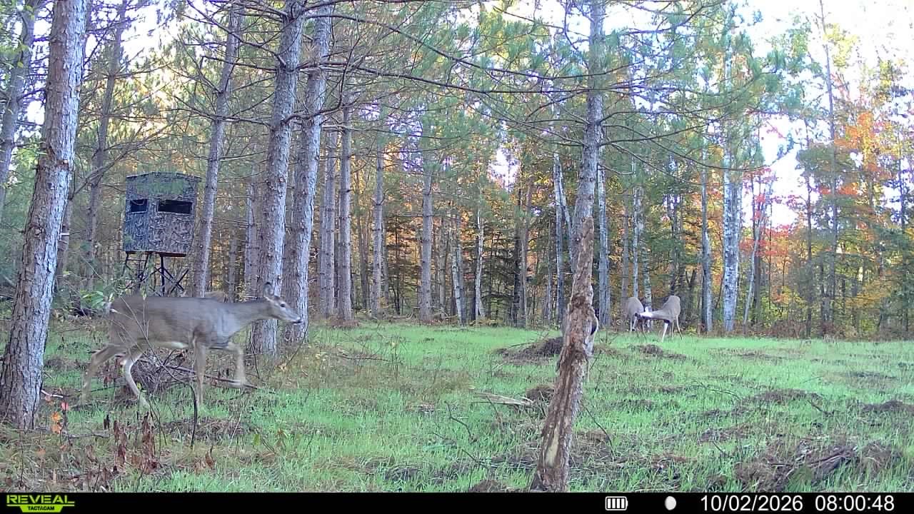 20 Acres Adams Road Property Photo 26