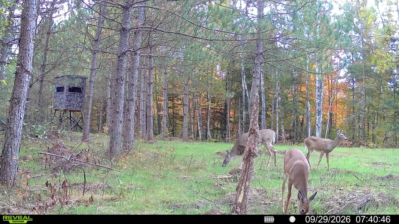 20 Acres Adams Road Property Photo 27