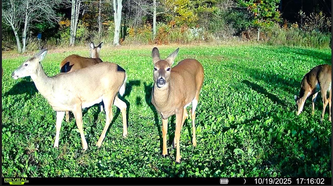 N7324 S Sechlerville Road Property Photo 37
