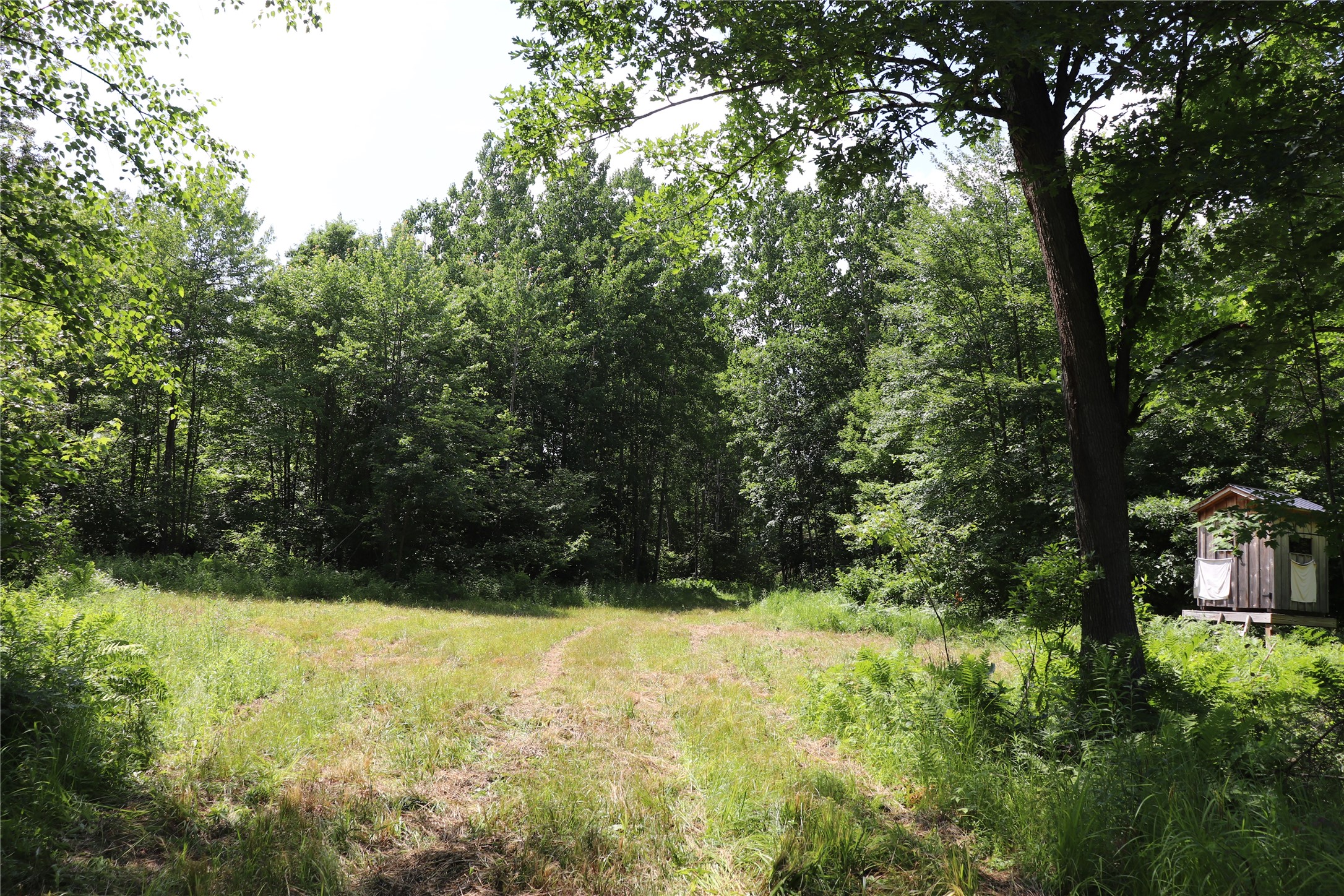 S11305 Kempton Road Property Photo 8
