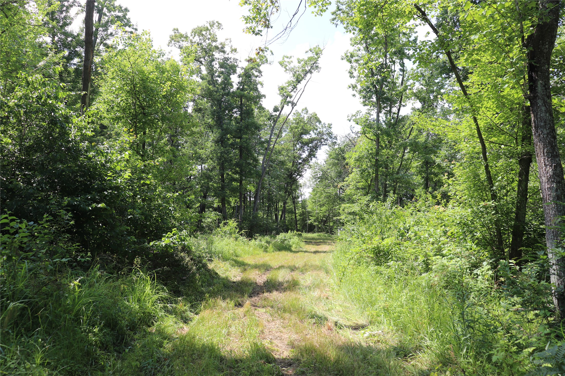 S11305 Kempton Road Property Photo 44