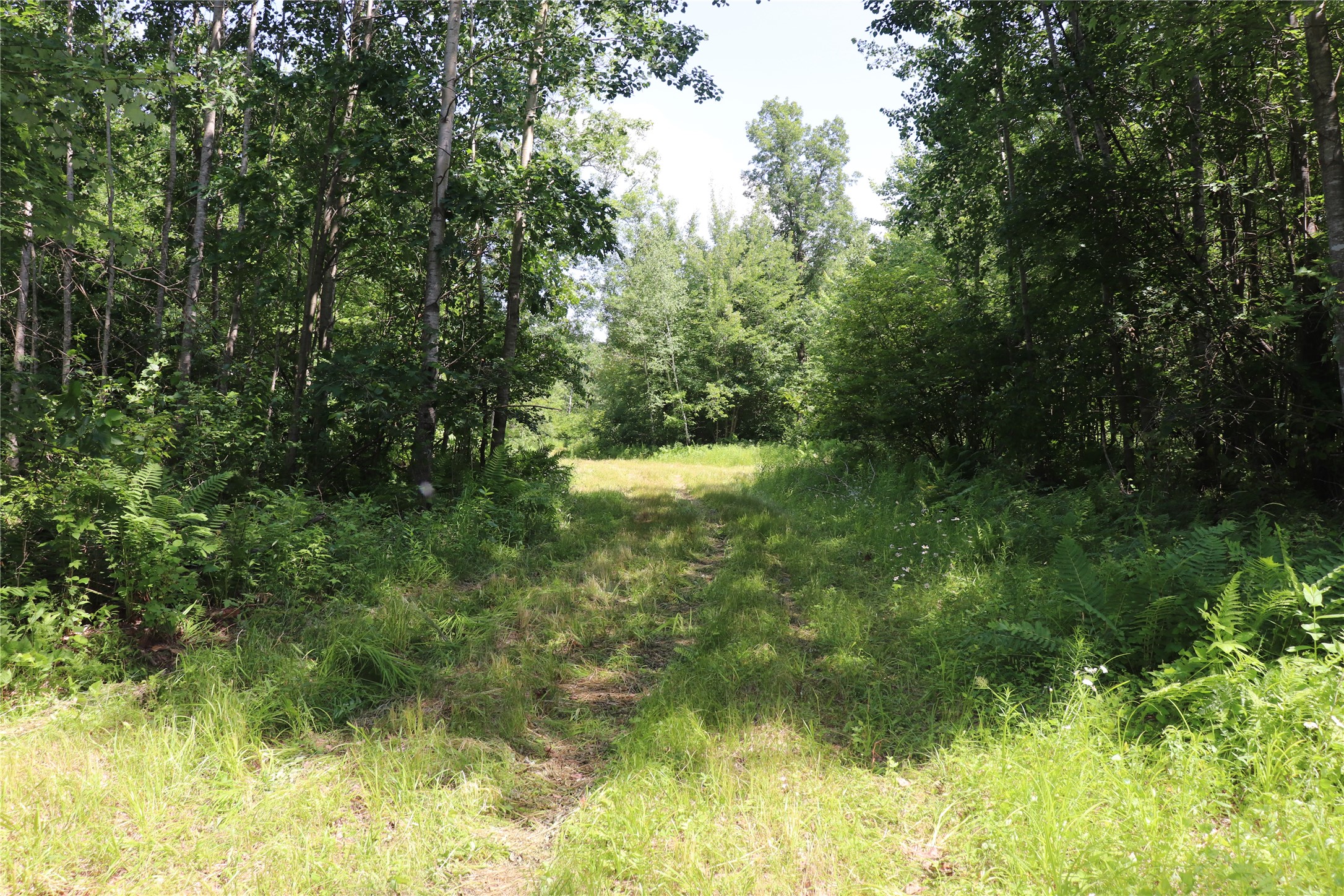 S11305 Kempton Road Property Photo 46