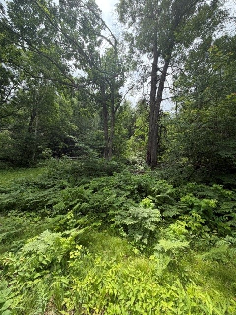 20 Acres N 5th Avenue Property Photo 5