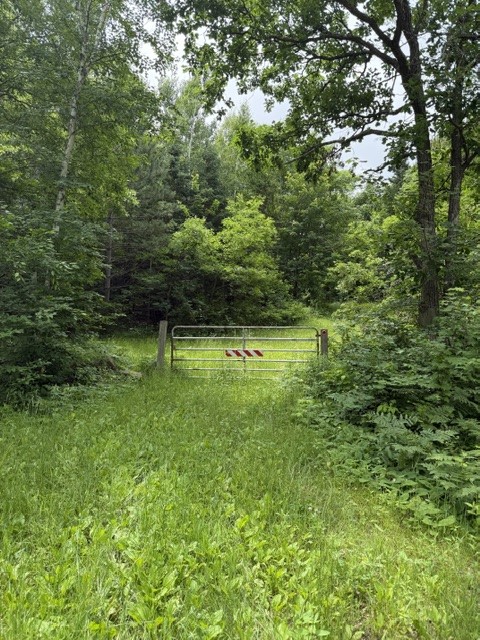 20 Acres N 5th Avenue Property Photo 6