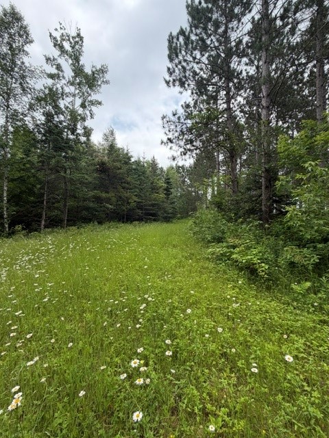 20 Acres N 5th Avenue Property Photo 7
