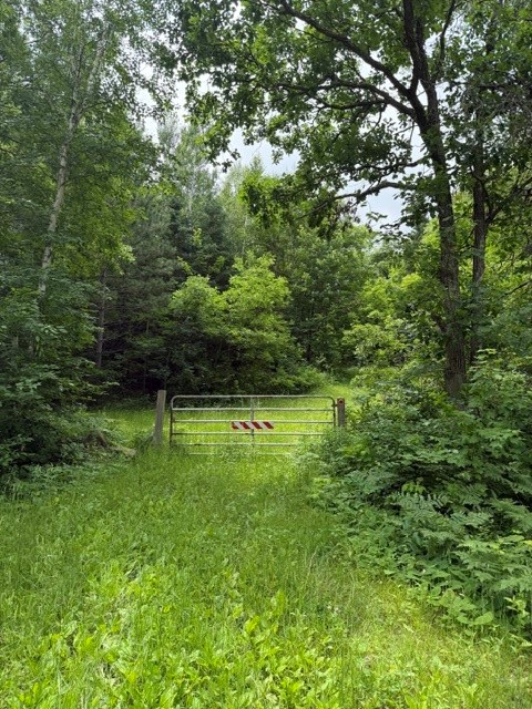 20 Acres N 5th Avenue Property Photo 8