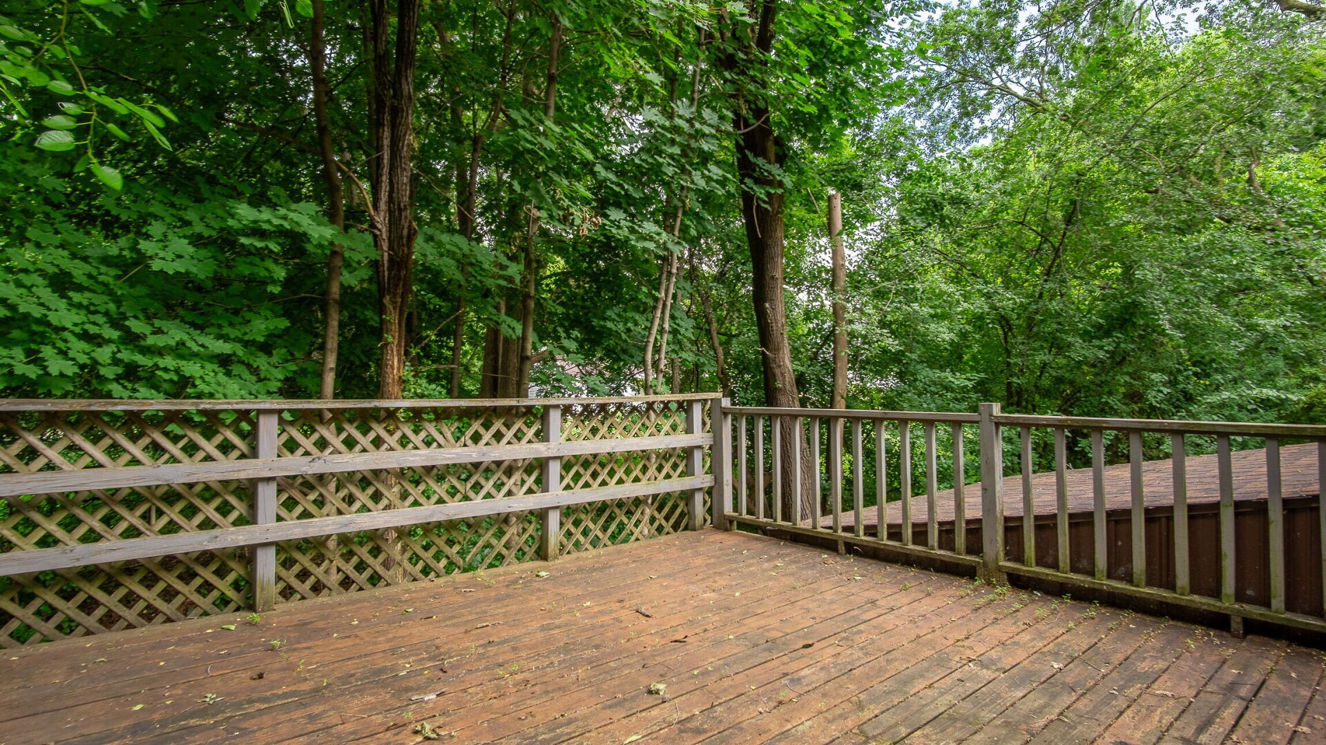 309 Marston Court Property Photo 20