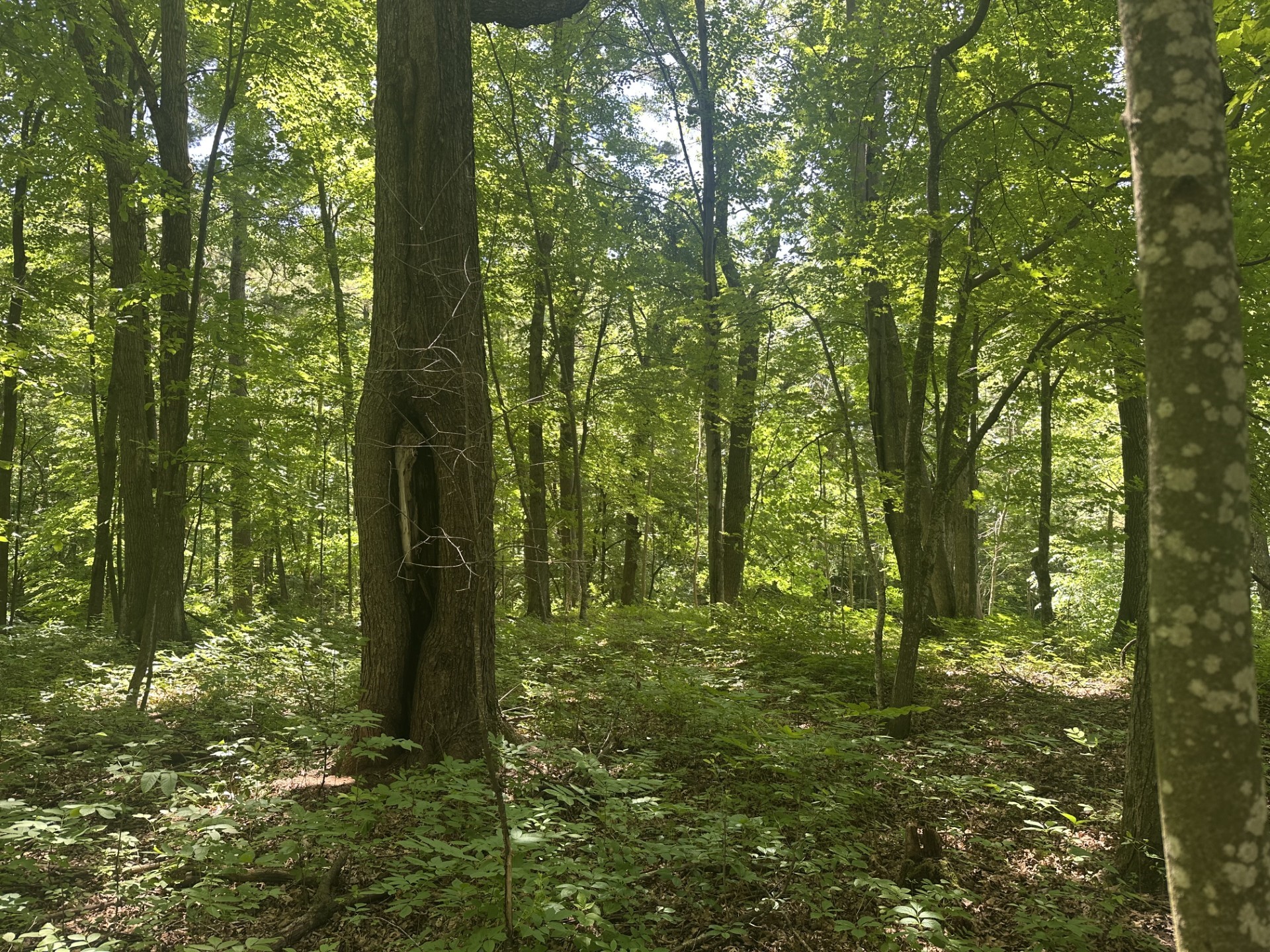 Lot 1 Becker Road