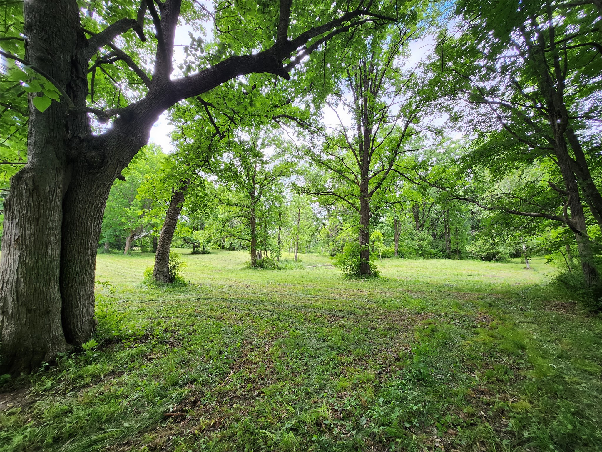 7 Acres Countyy Highway F Property Photo 7