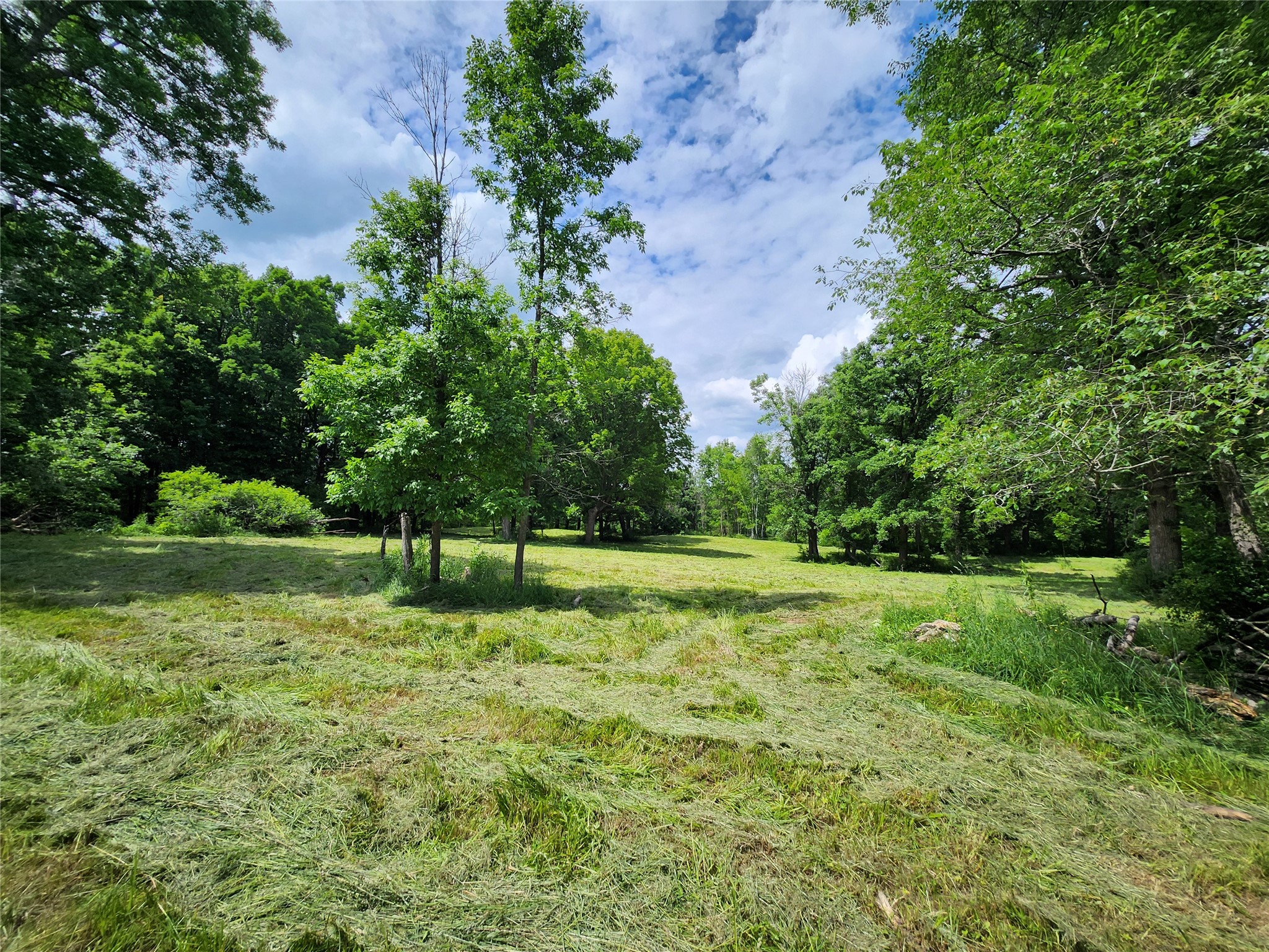 7 Acres Countyy Highway F Property Photo 8