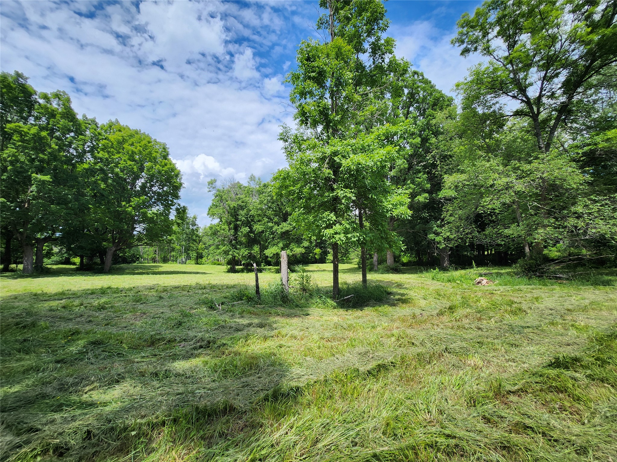 7 Acres Countyy Highway F Property Photo 9