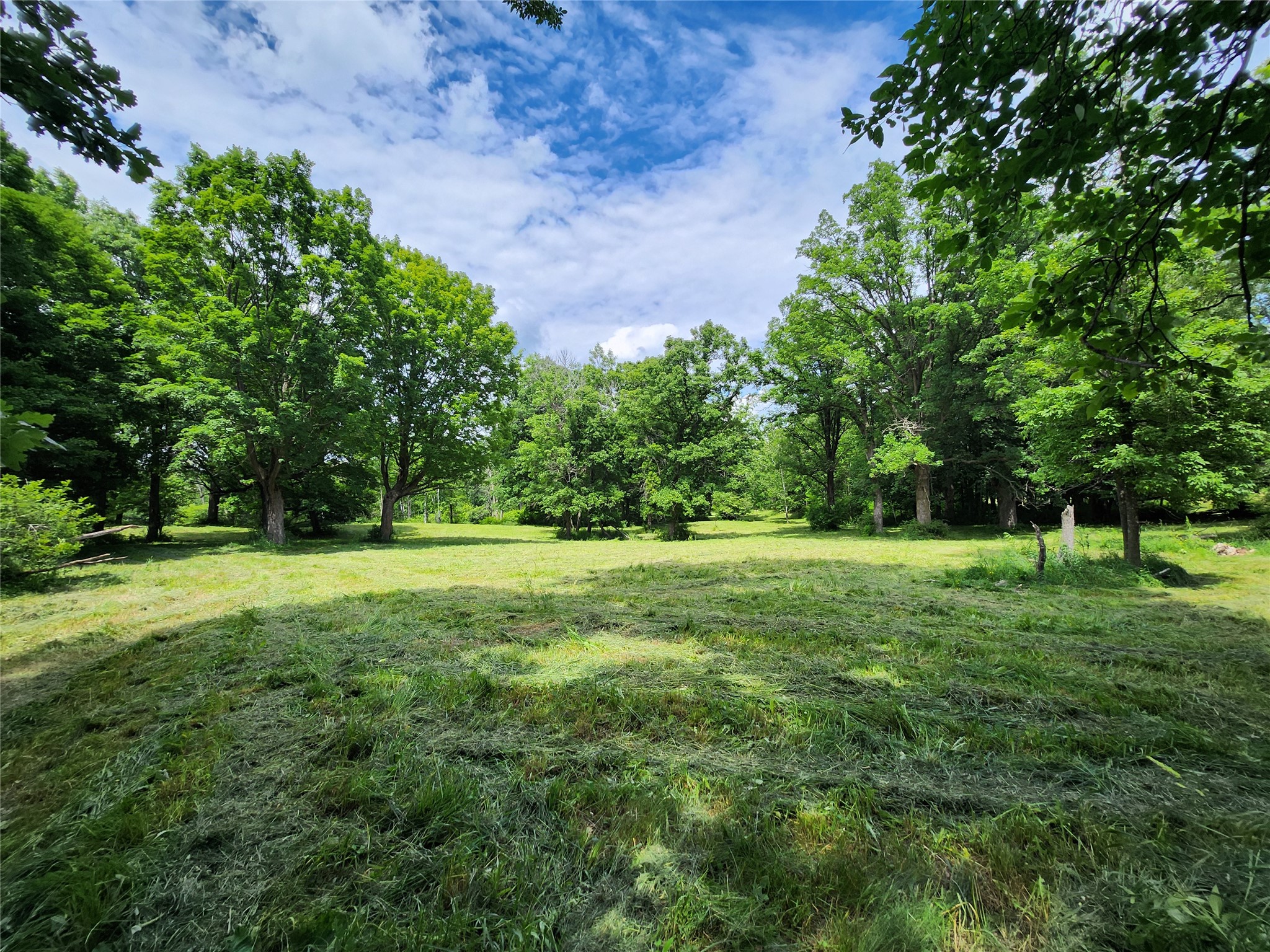 7 Acres Countyy Highway F Property Photo 10