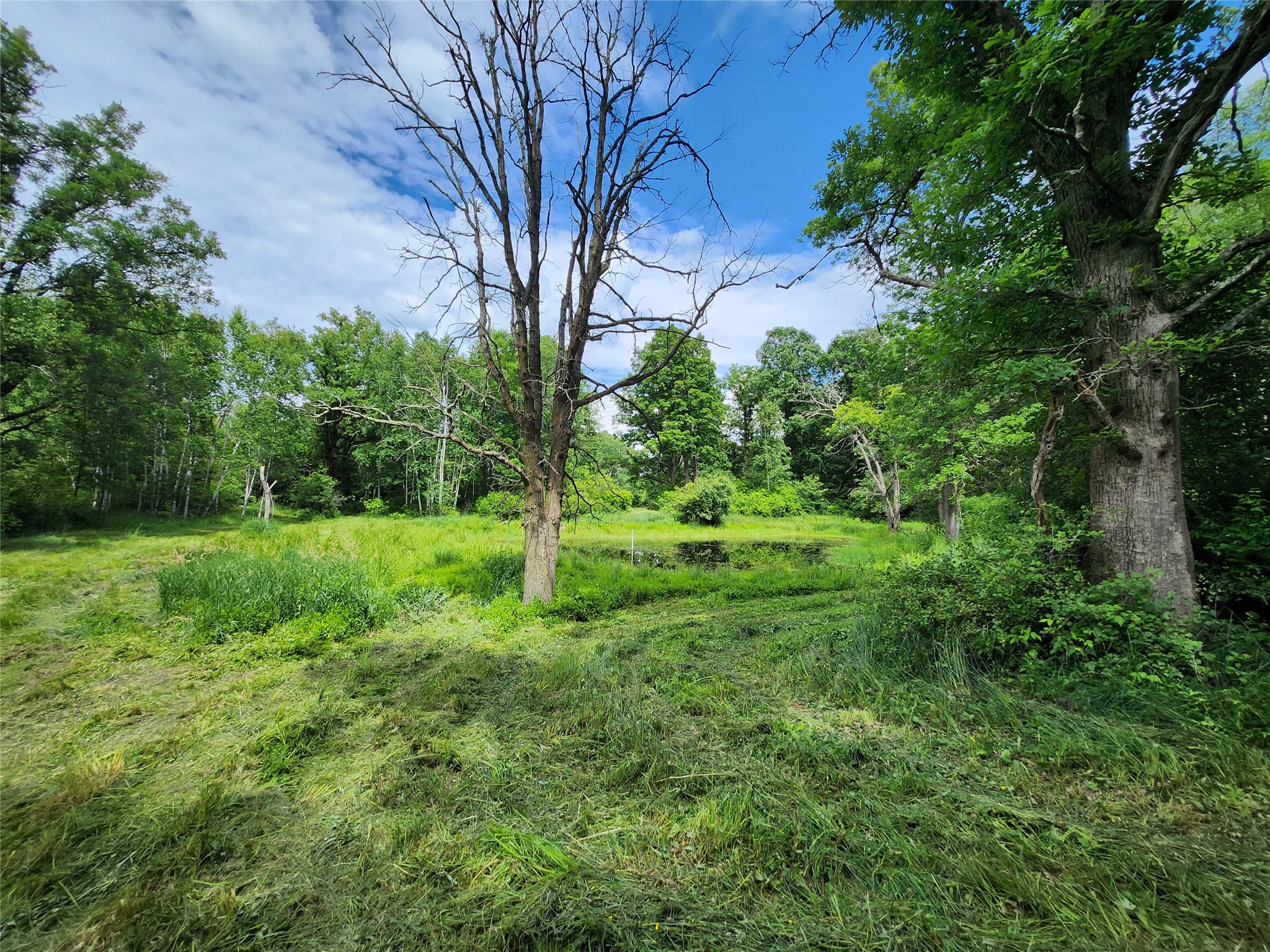 7 Acres Countyy Highway F Property Photo 19
