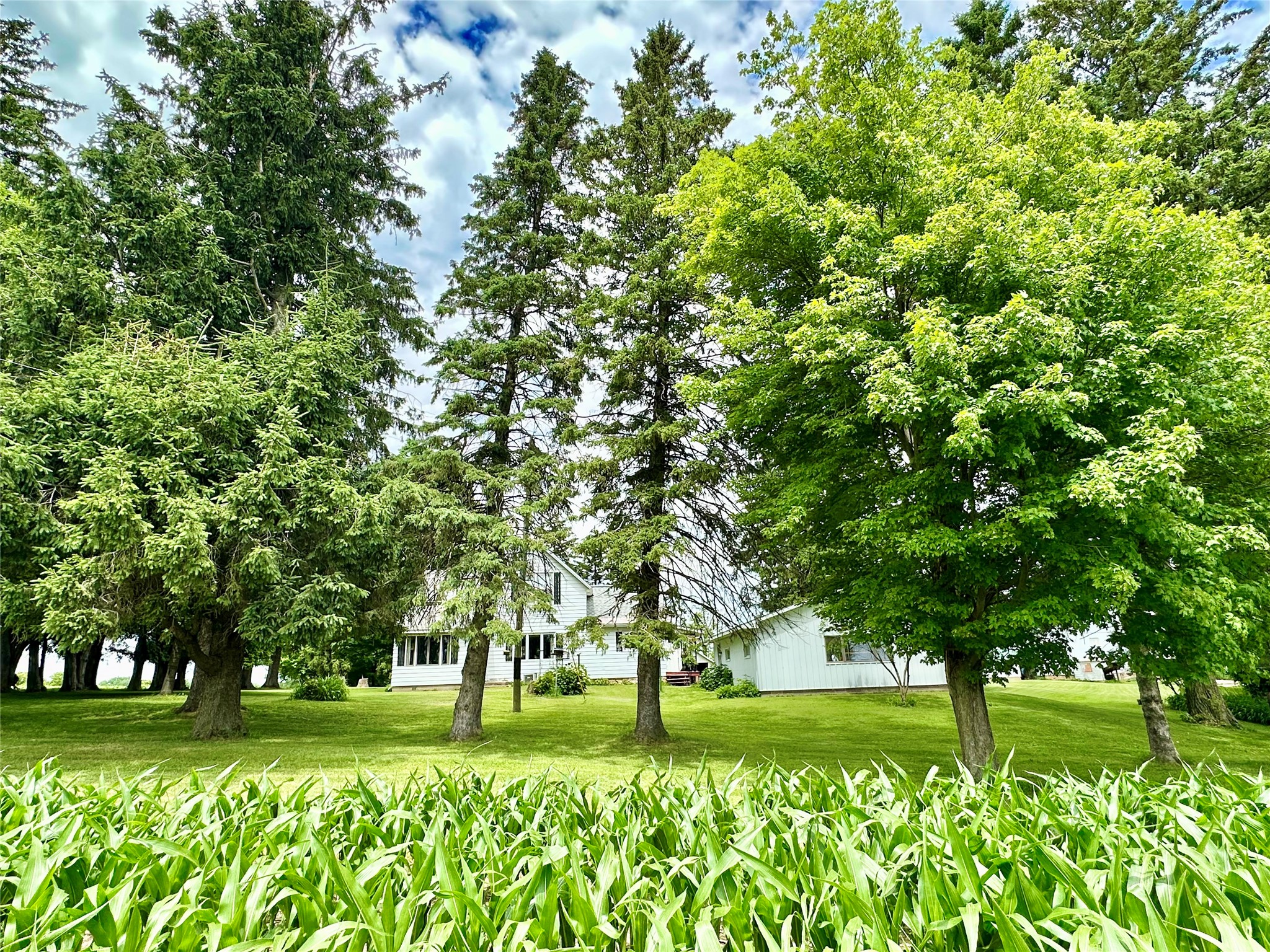 N3236 Nelson Road Property Photo 16