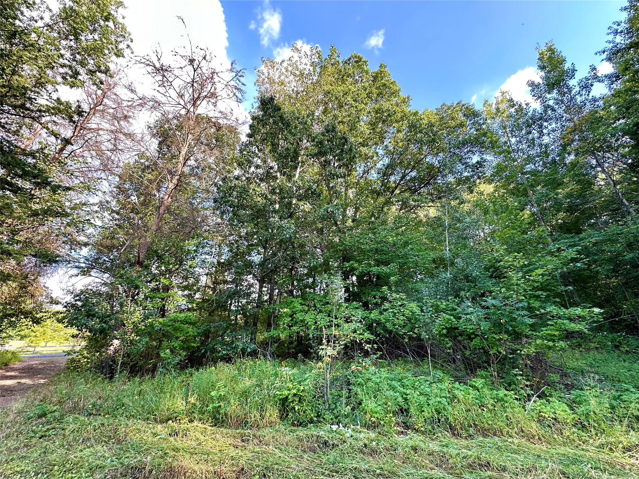 1438 Pleasant Hill Road Property Photo 3