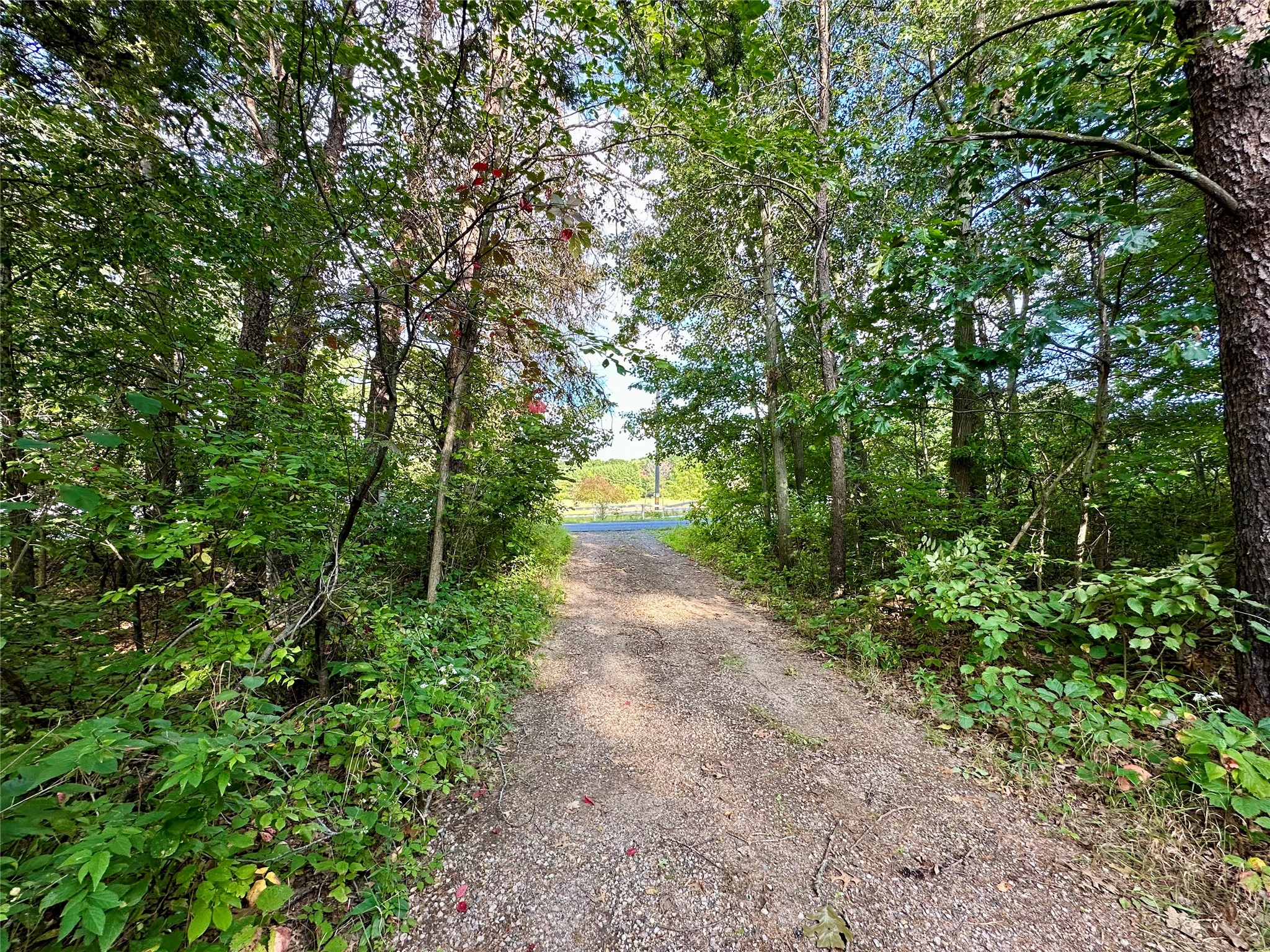 1438 Pleasant Hill Road Property Photo 4