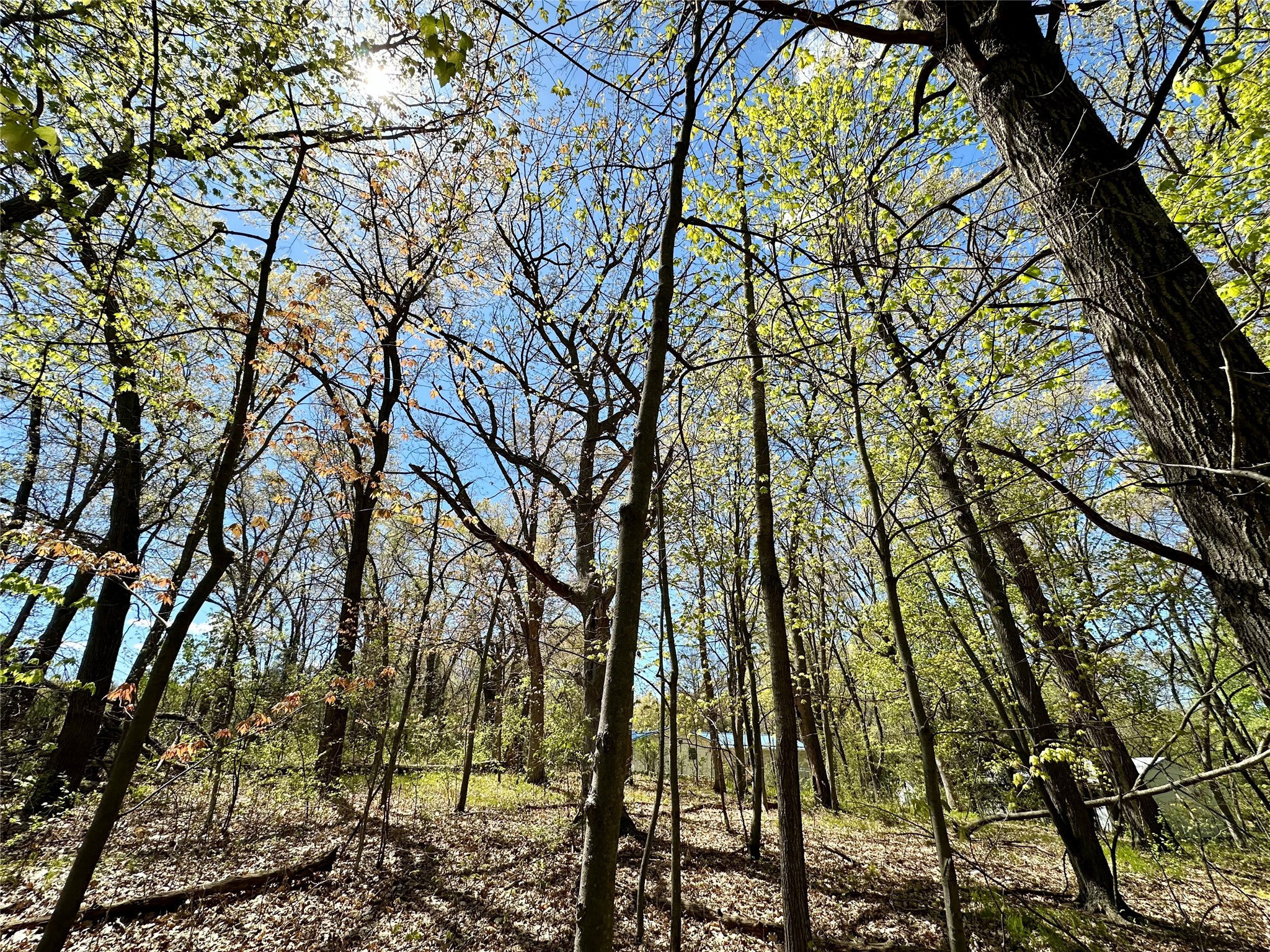1438 Pleasant Hill Road Property Photo 8