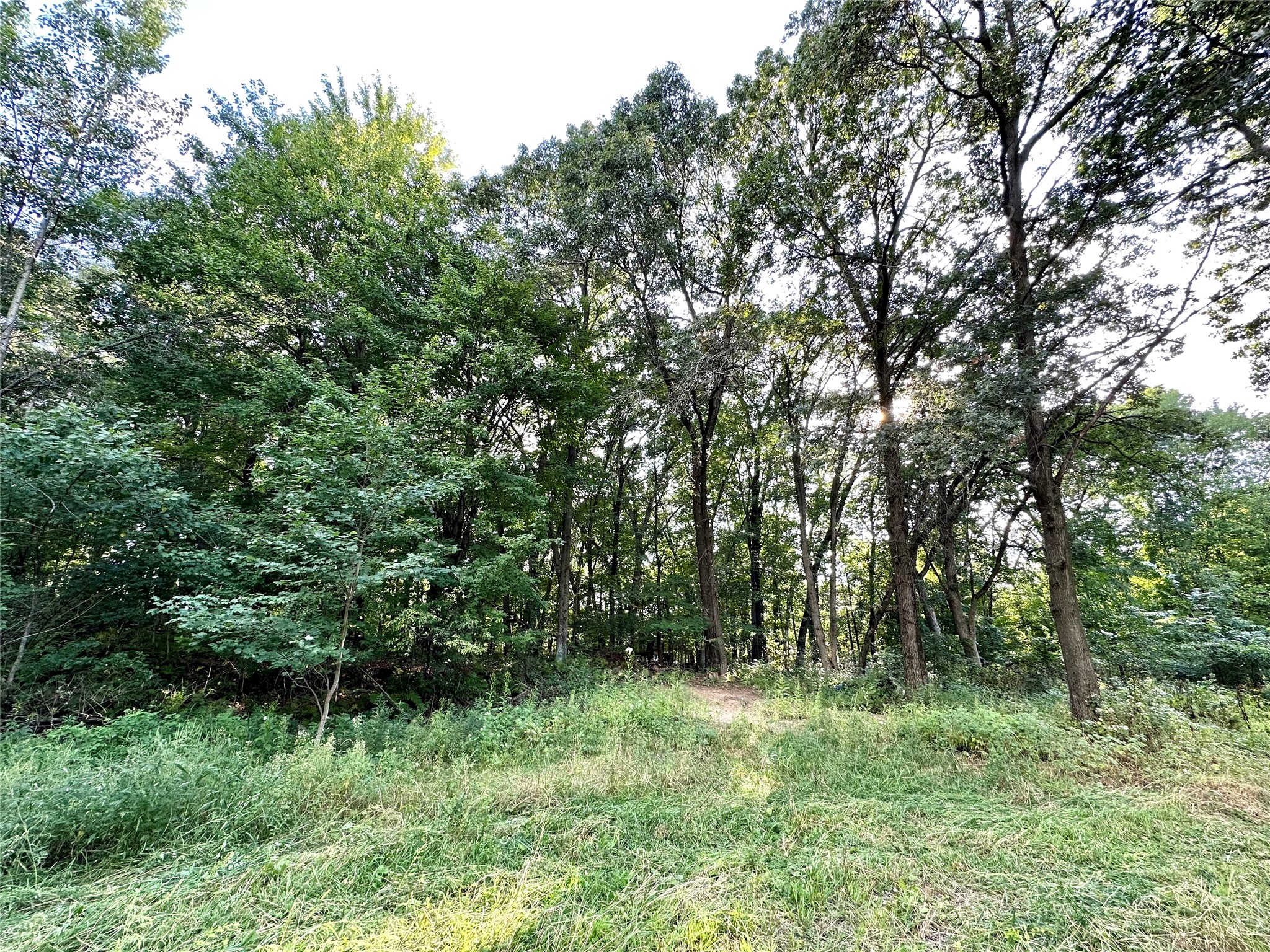 1438 Pleasant Hill Road Property Photo 9