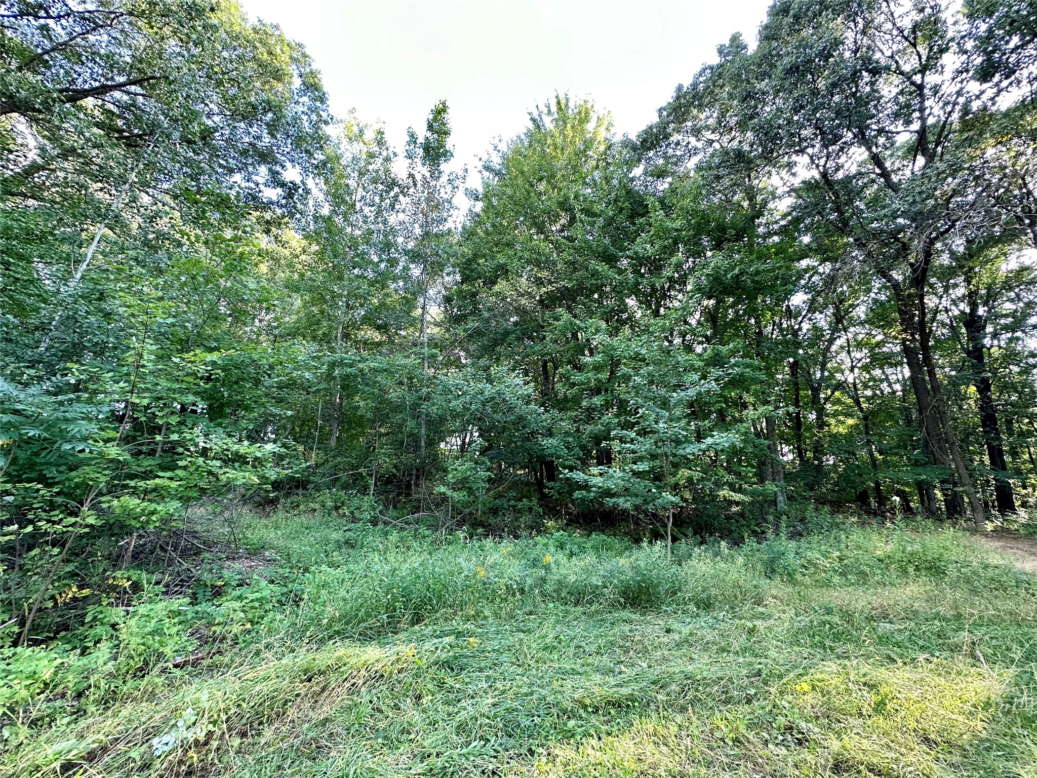 1438 Pleasant Hill Road Property Photo 18