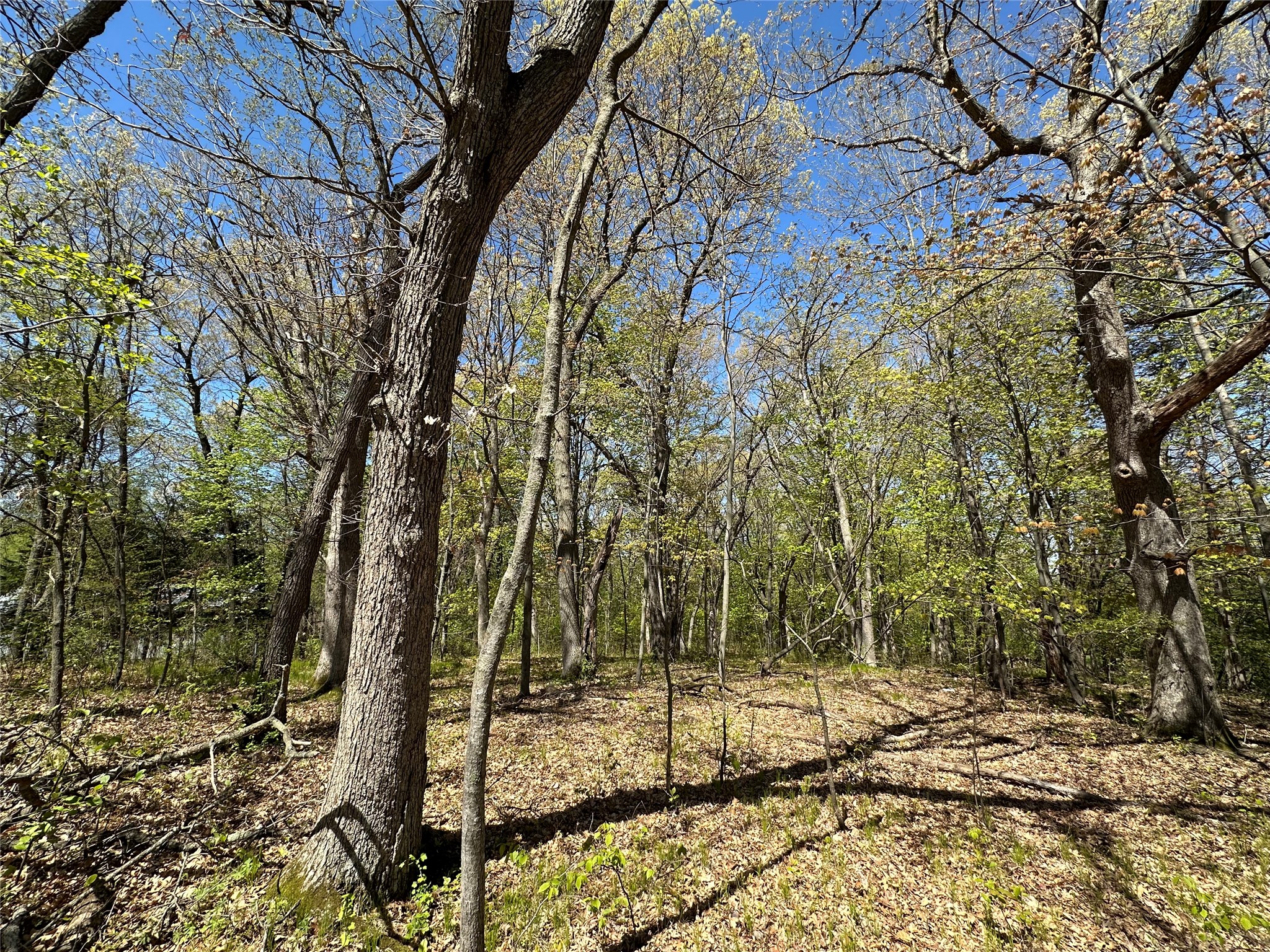 1438 Pleasant Hill Road Property Photo 38
