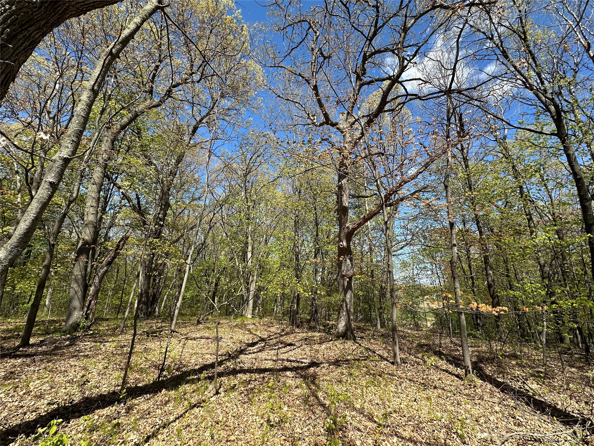 1438 Pleasant Hill Road Property Photo 40