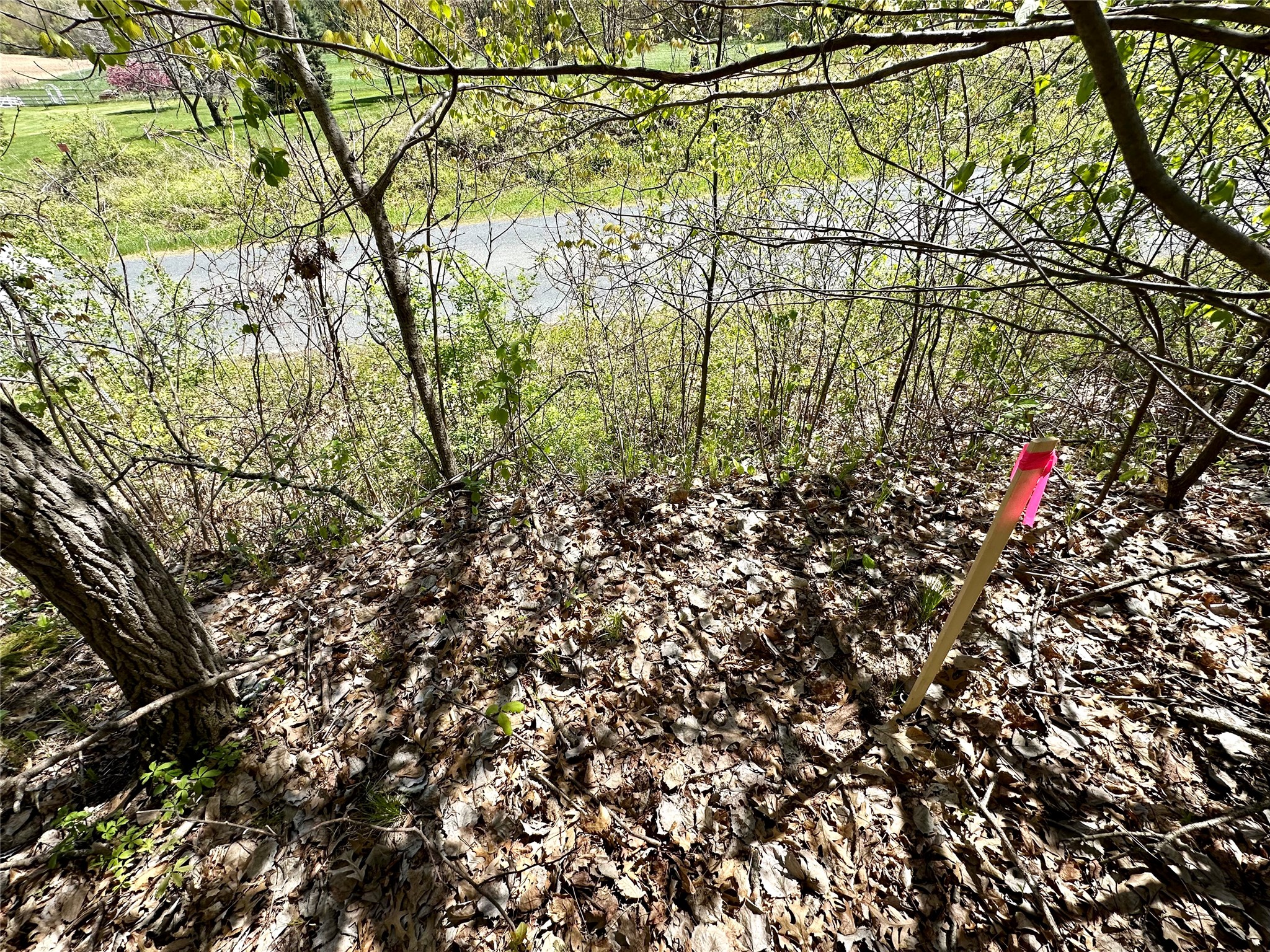 1438 Pleasant Hill Road Property Photo 43