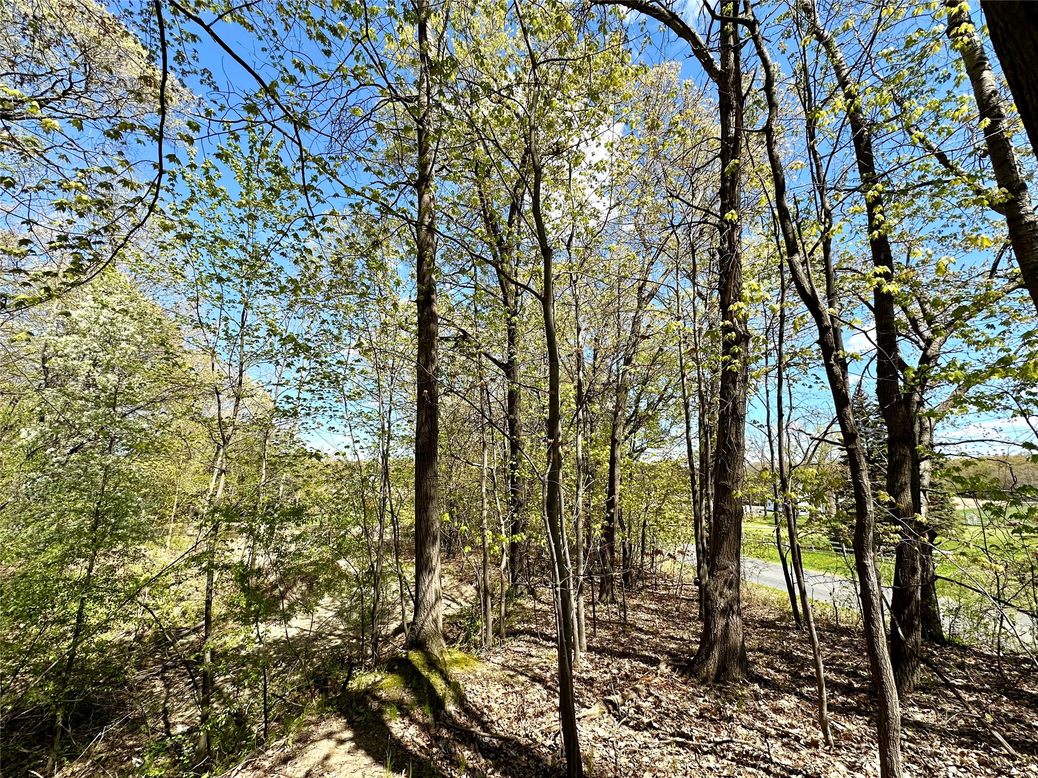 1438 Pleasant Hill Road Property Photo 44