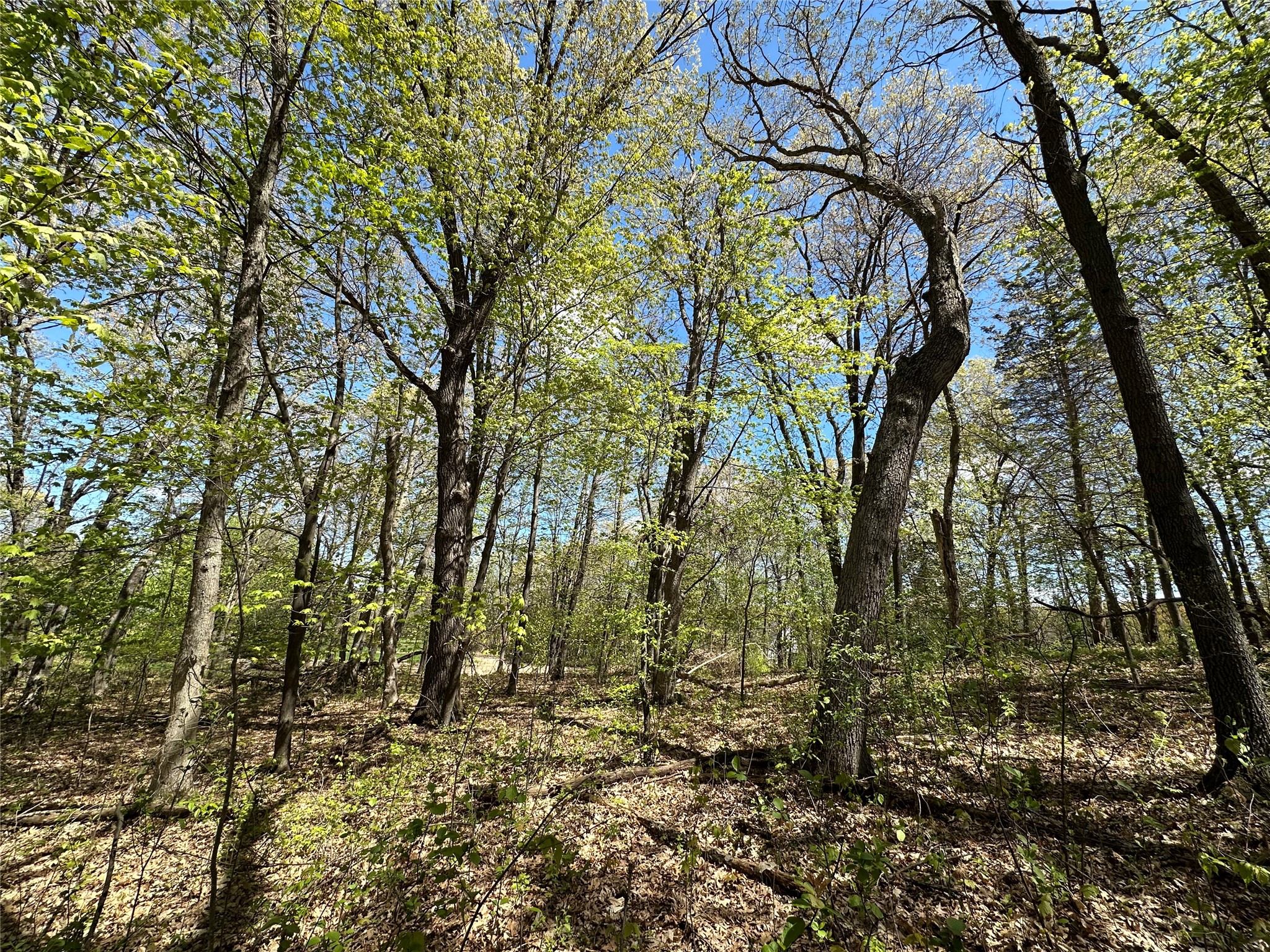 1438 Pleasant Hill Road Property Photo 46