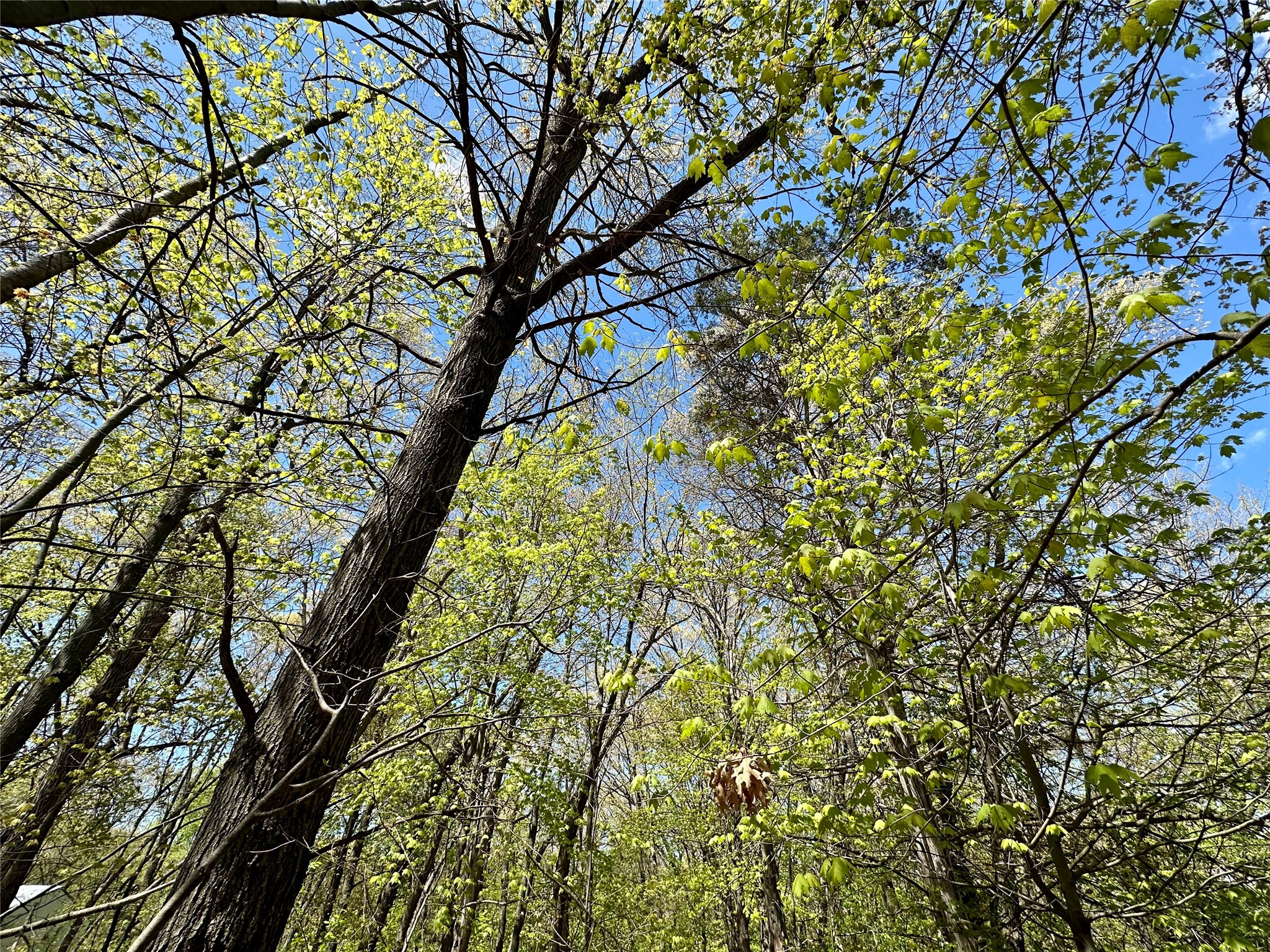1438 Pleasant Hill Road Property Photo 47