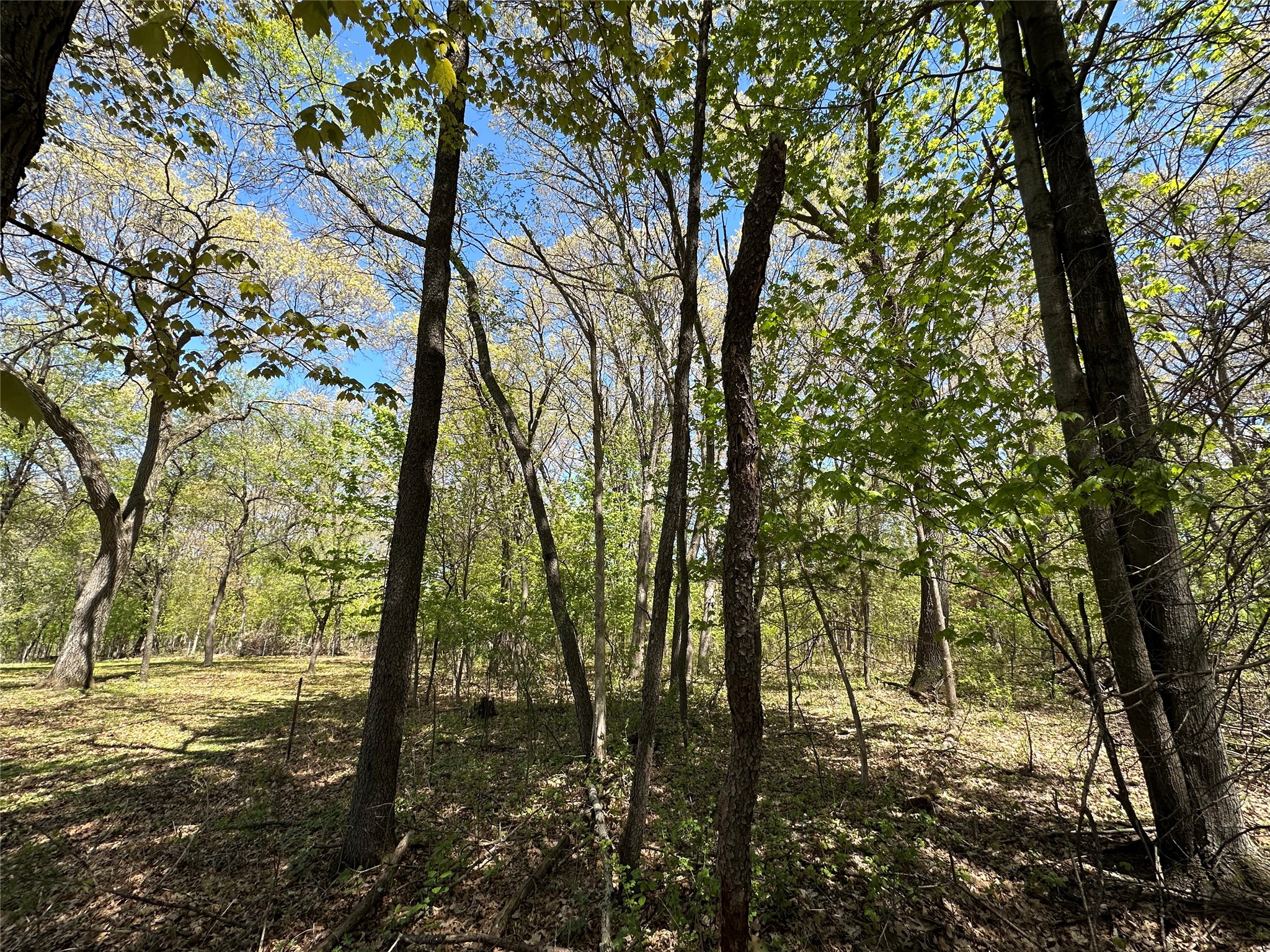 1438 Pleasant Hill Road Property Photo 49