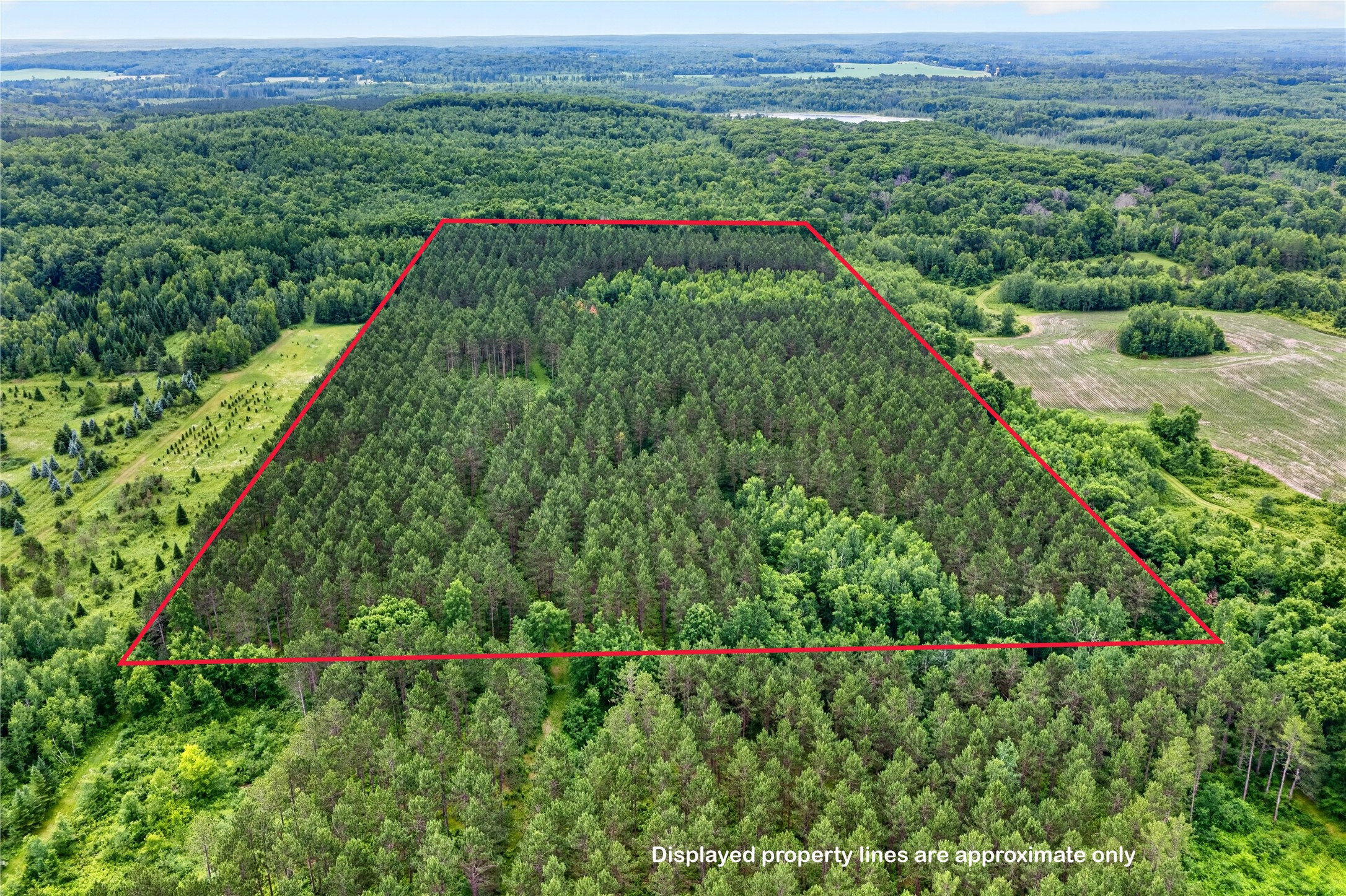 20 Acres S 5th Avenue Property Photo 1
