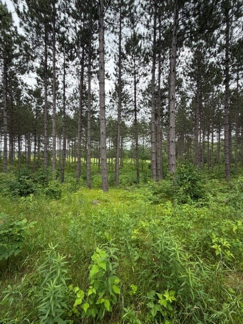 20 Acres S 5th Avenue Property Photo 4