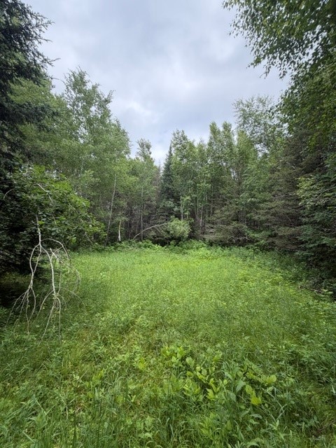 20 Acres S 5th Avenue Property Photo 5