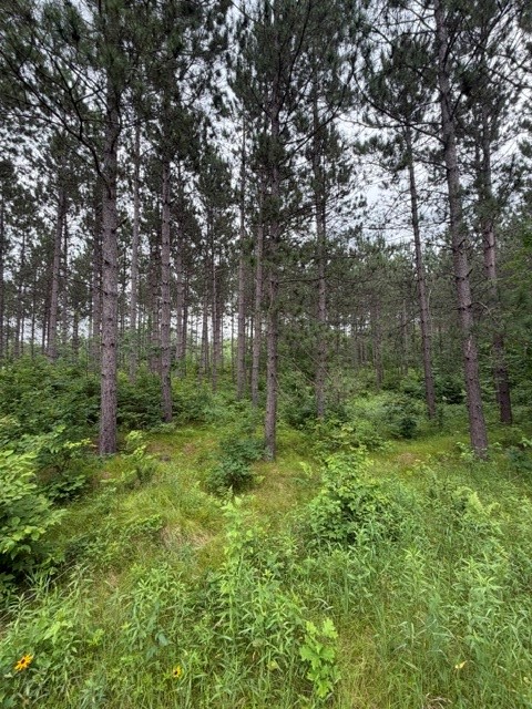20 Acres S 5th Avenue Property Photo 9
