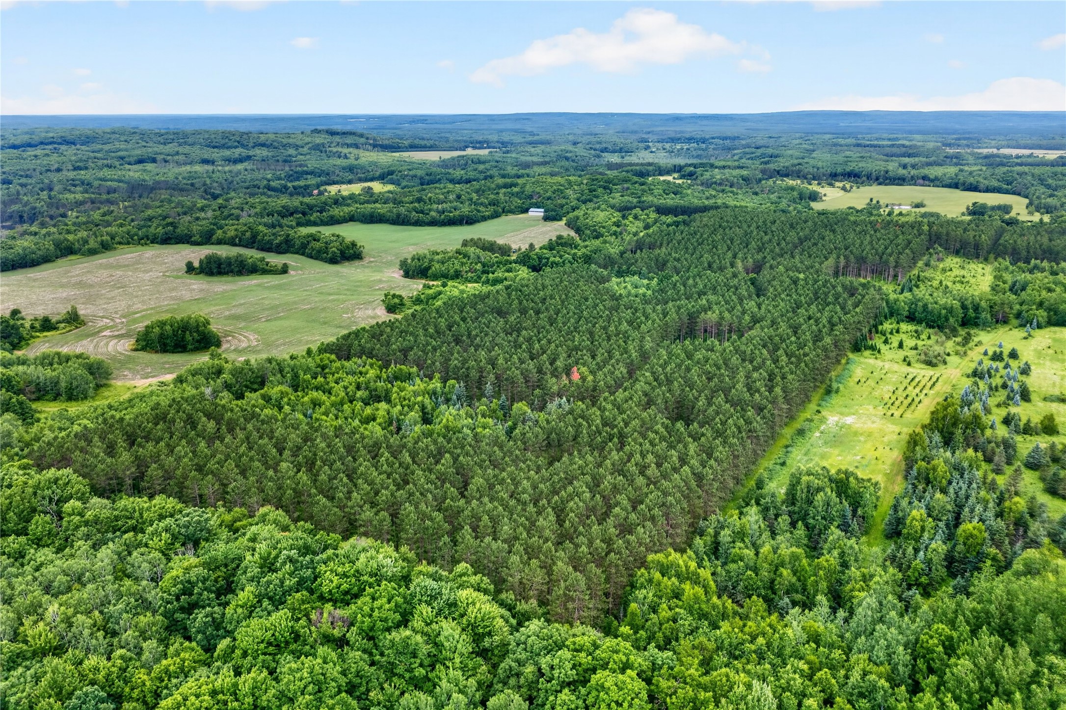 20 Acres S 5th Avenue Property Photo 12