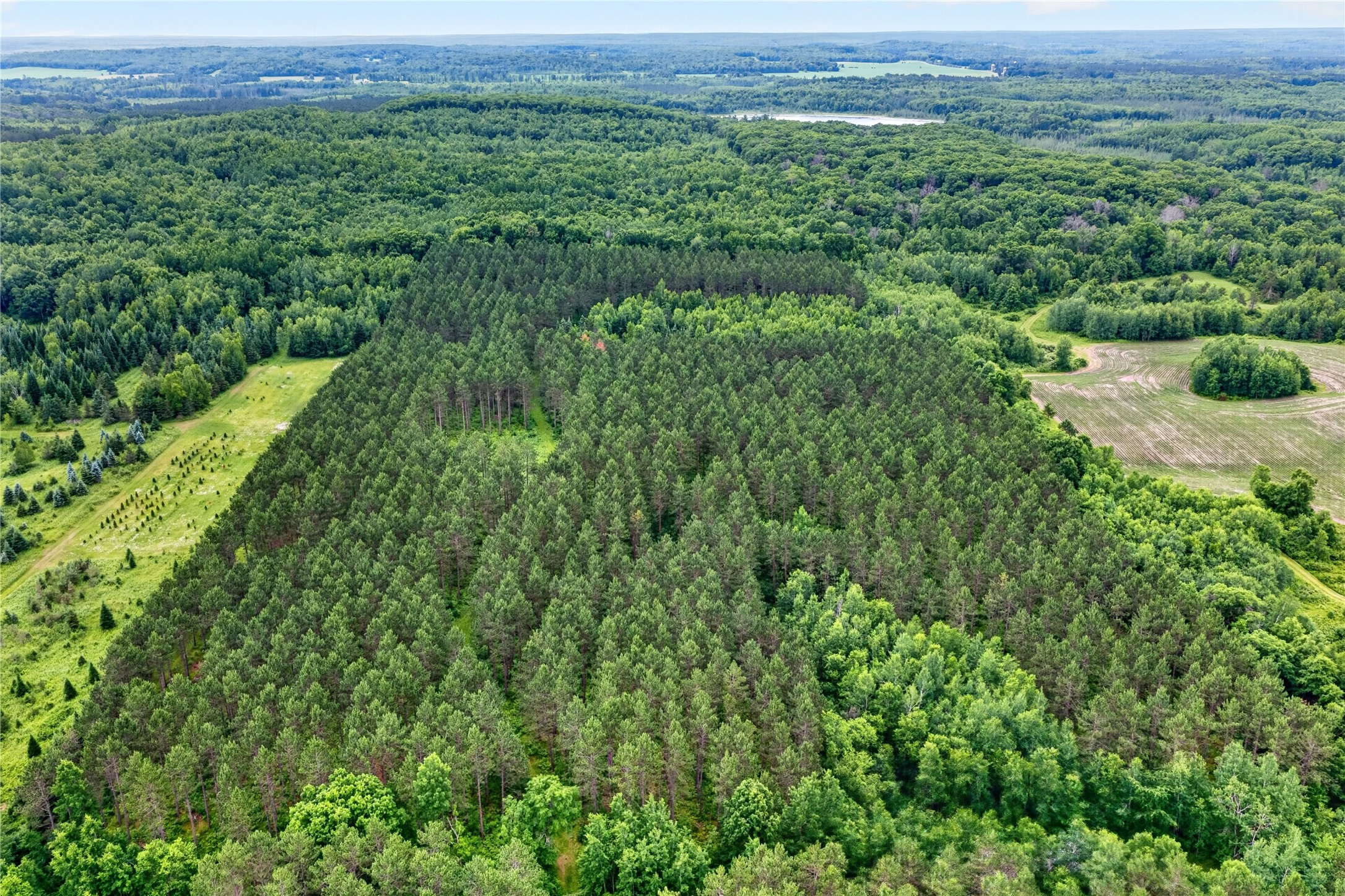 20 Acres S 5th Avenue Property Photo 13