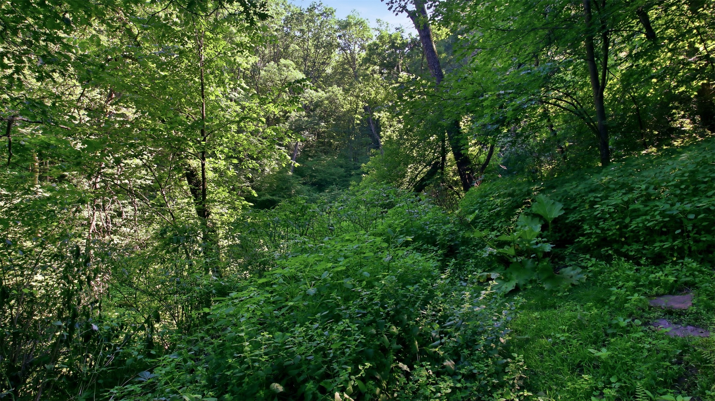 N44681 Hawkenson Valley Road Property Photo 22