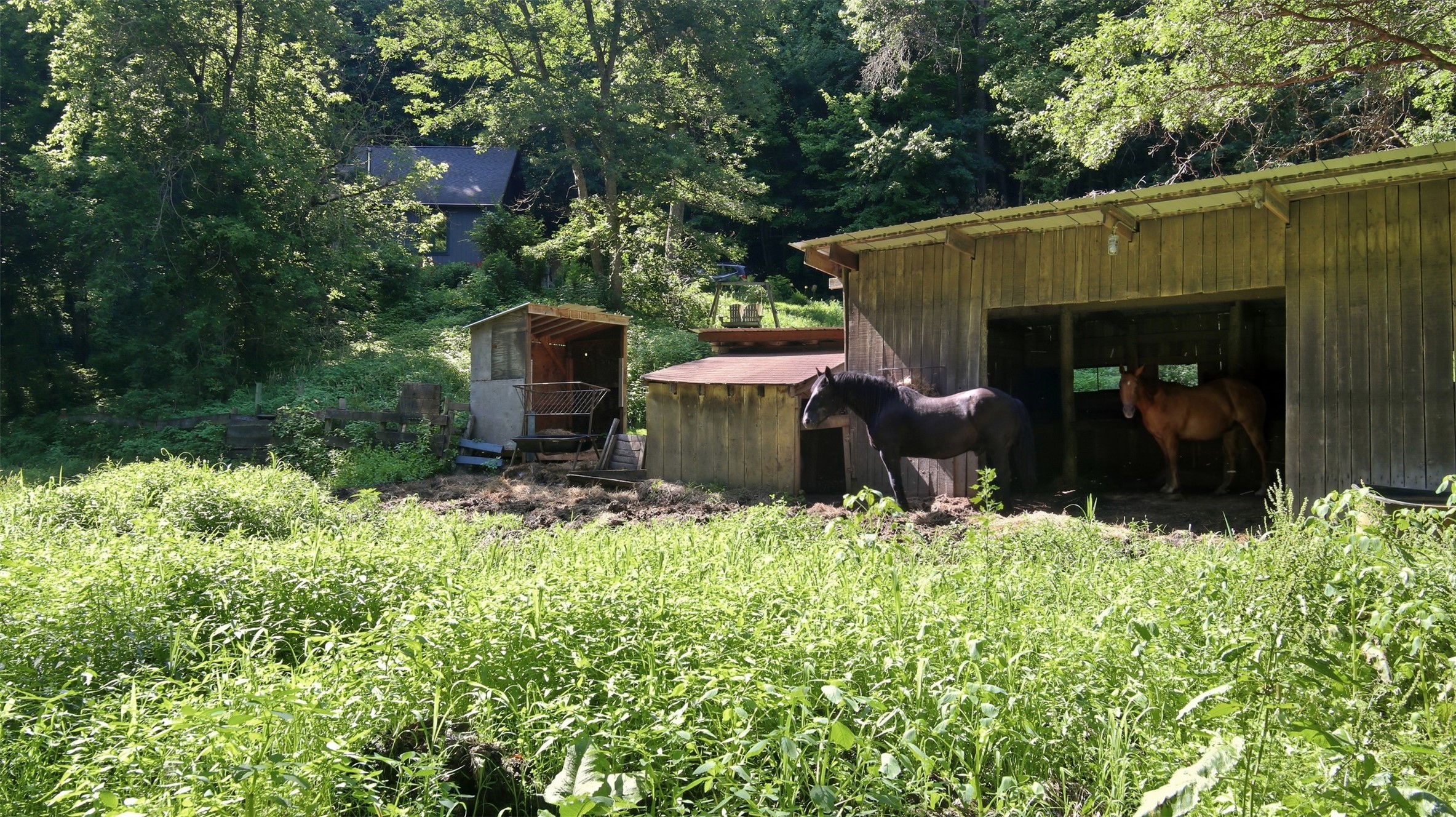 N44681 Hawkenson Valley Road Property Photo 33