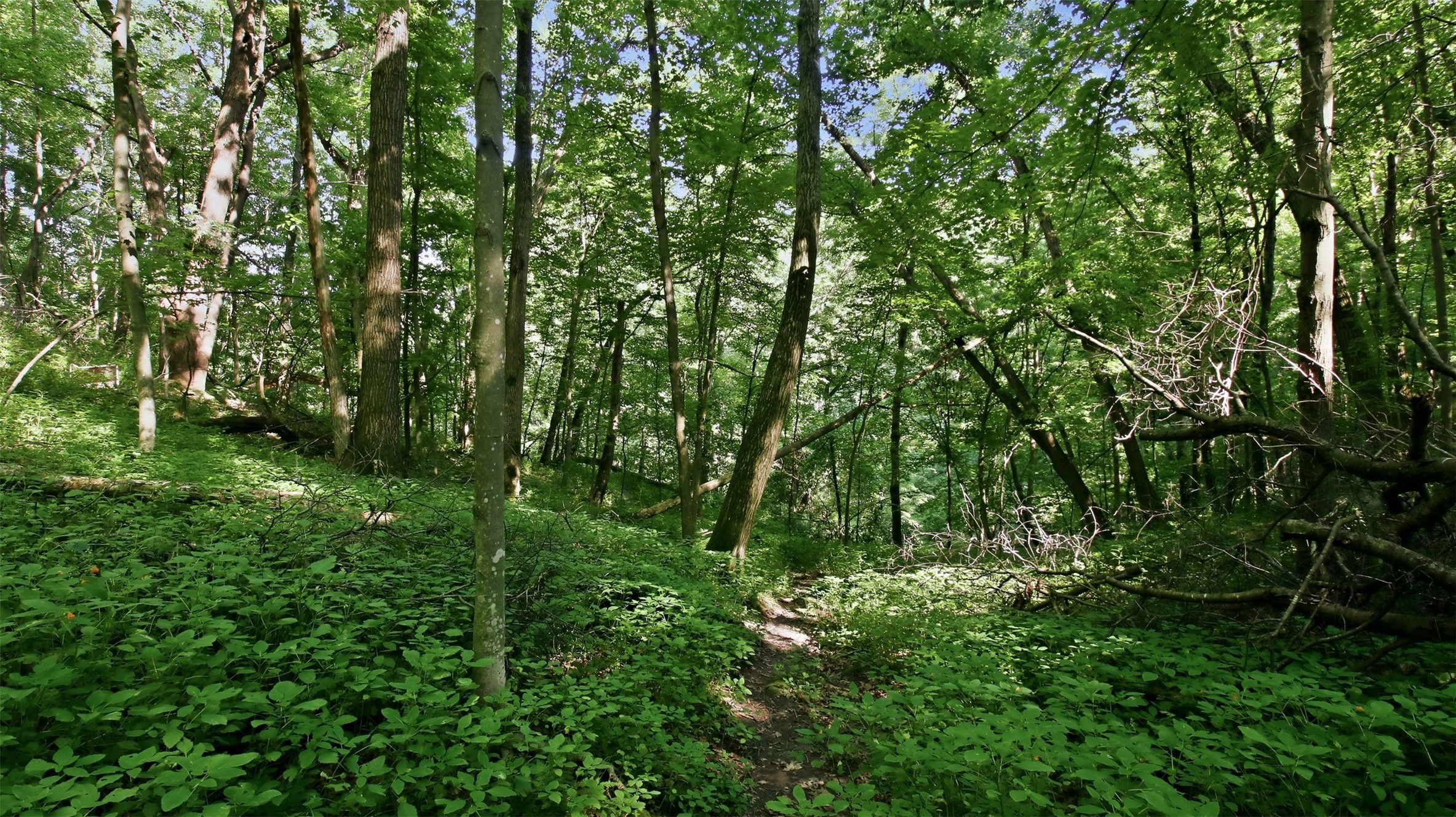 N44681 Hawkenson Valley Road Property Photo 34