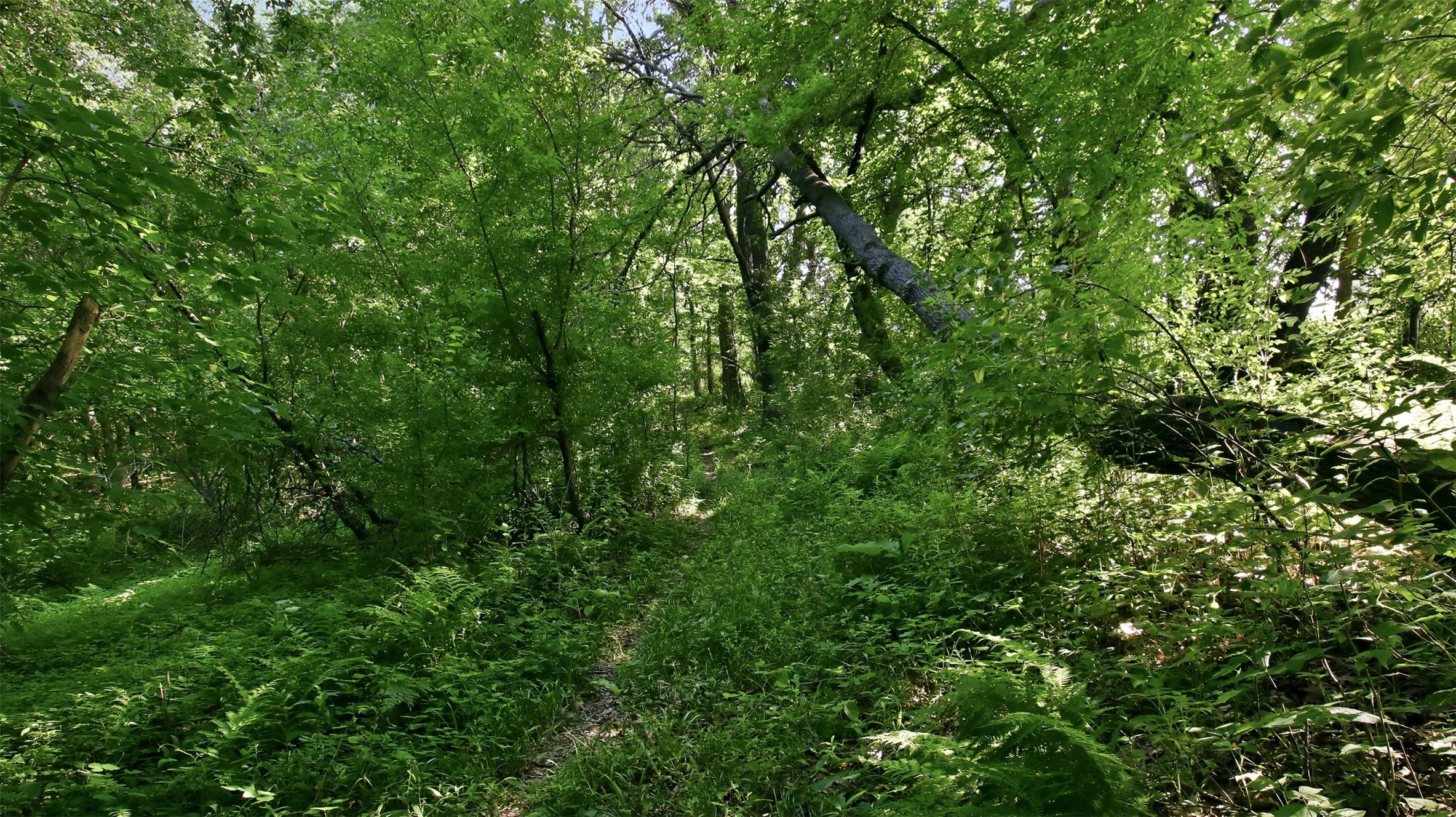 N44681 Hawkenson Valley Road Property Photo 38