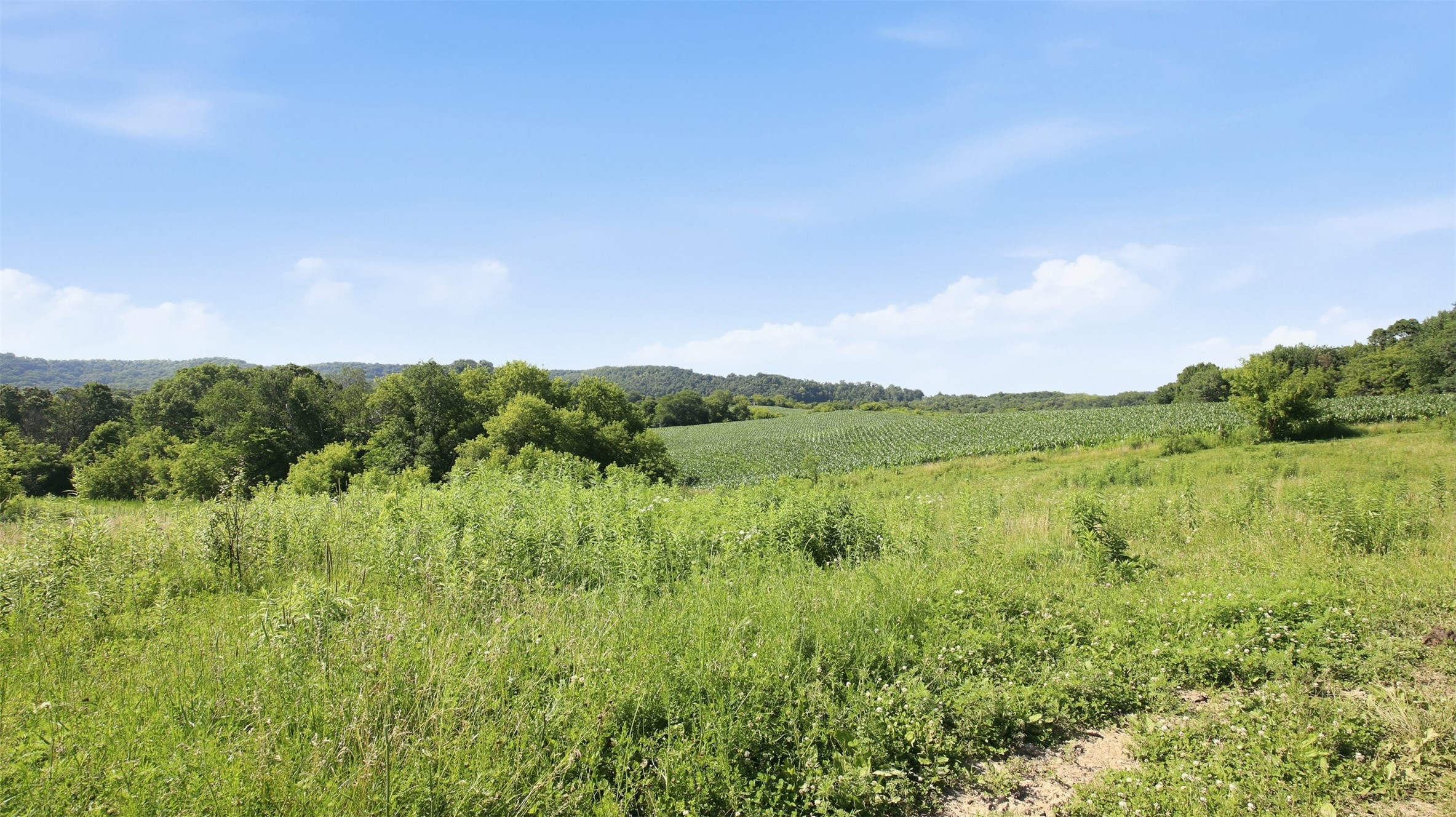 N44681 Hawkenson Valley Road Property Photo 42