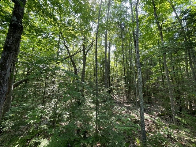 12552 N County Highway T Property Photo 4