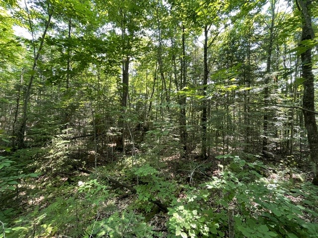 12552 N County Highway T Property Photo 5