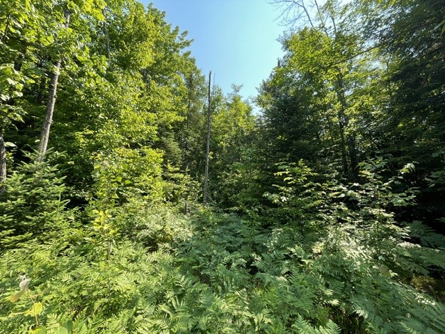 12552 N County Highway T Property Photo 6