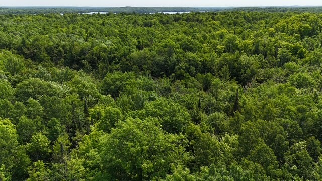 12552 N County Highway T Property Photo 10